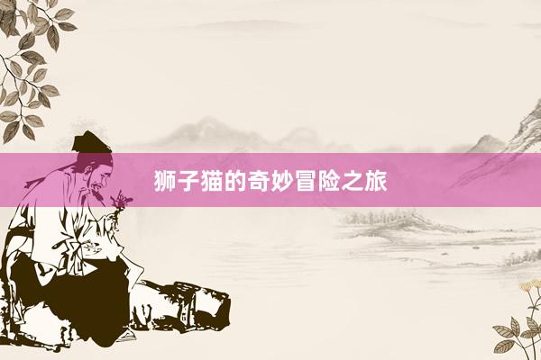 狮子猫的奇妙冒险之旅