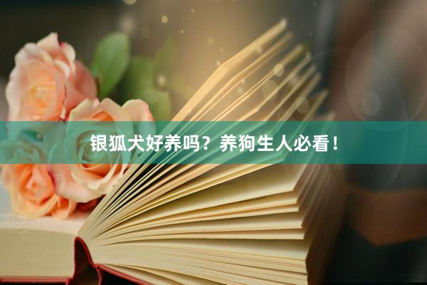 银狐犬好养吗？养狗生人必看！