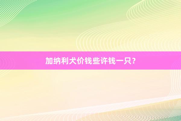 加纳利犬价钱些许钱一只？